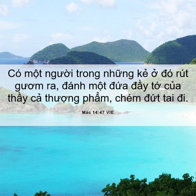 Picture 06 - Mác 14:47 VIE - Có một người trong những kẻ ở đó - Bible Verse Picture