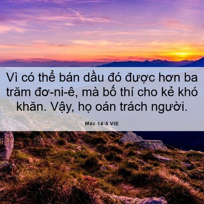 Picture 06 - Mác 14:5 VIE - Vì có thể bán dầu đó được hơn ba - Bible Verse Picture
