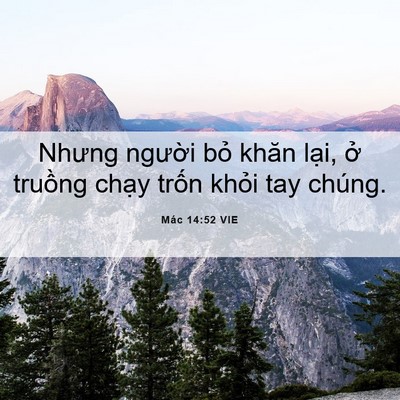 Picture 06 - Mác 14:52 VIE - Nhưng người bỏ khăn lại, ở truồng - Bible Verse Picture