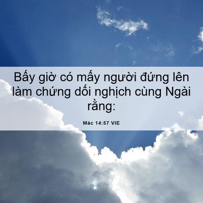 Picture 06 - Mác 14:57 VIE - Bấy giờ có mấy người đứng lên làm - Bible Verse Picture