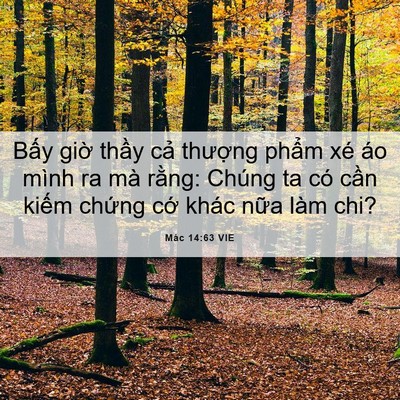 Picture 06 - Mác 14:63 VIE - Bấy giờ thầy cả thượng phẩm xé áo - Bible Verse Picture