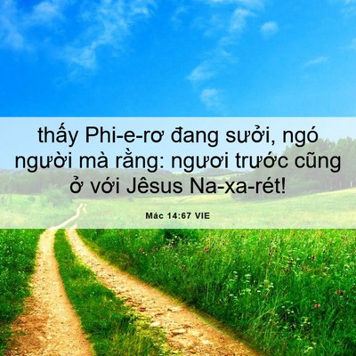 Picture 06 - Mác 14:67 VIE - thấy Phi-e-rơ đang sưởi, ngó người mà - Bible Verse Picture