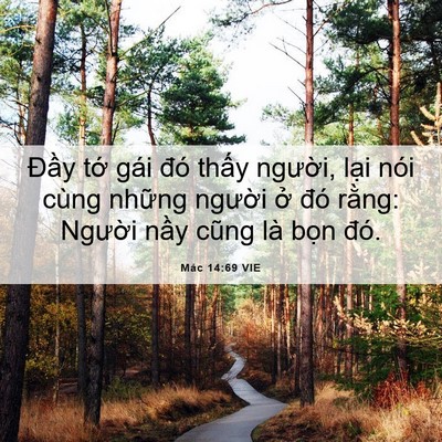 Picture 06 - Mác 14:69 VIE - Đầy tớ gái đó thấy người, lại nói - Bible Verse Picture