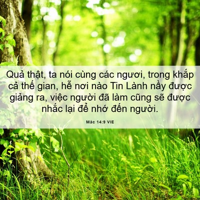 Picture 06 - Mác 14:9 VIE - Quả thật, ta nói cùng các ngươi, trong - Bible Verse Picture