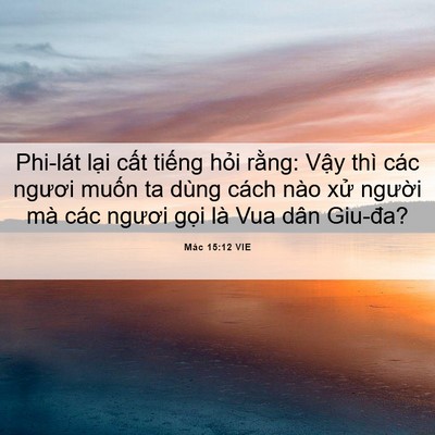 Picture 06 - Mác 15:12 VIE - Phi-lát lại cất tiếng hỏi rằng: Vậy - Bible Verse Picture