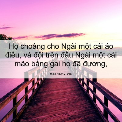 Picture 06 - Mác 15:17 VIE - Họ choàng cho Ngài một cái áo điều, - Bible Verse Picture