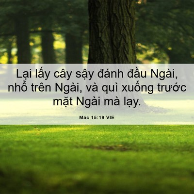 Picture 06 - Mác 15:19 VIE - Lại lấy cây sậy đánh đầu Ngài, nhổ - Bible Verse Picture