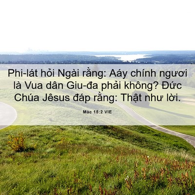 Picture 06 - Mác 15:2 VIE - Phi-lát hỏi Ngài rằng: Aáy chính ngươi - Bible Verse Picture