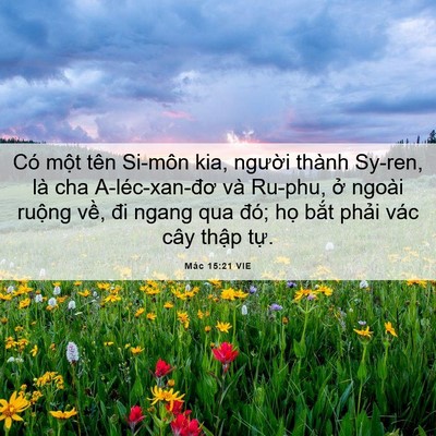 Picture 06 - Mác 15:21 VIE - Có một tên Si-môn kia, người thành - Bible Verse Picture