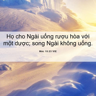 Picture 06 - Mác 15:23 VIE - Họ cho Ngài uống rượu hòa với một - Bible Verse Picture