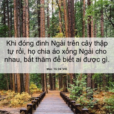Picture 06 - Mác 15:24 VIE - Khi đóng đinh Ngài trên cây thập tự - Bible Verse Picture
