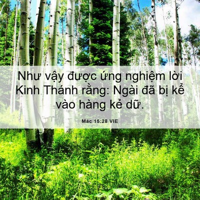 Picture 06 - Mác 15:28 VIE - Như vậy được ứng nghiệm lời Kinh - Bible Verse Picture
