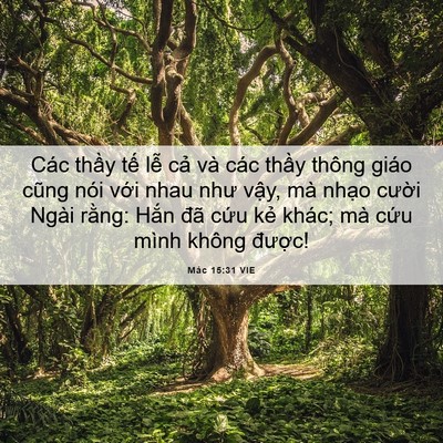 Picture 06 - Mác 15:31 VIE - Các thầy tế lễ cả và các thầy thông - Bible Verse Picture