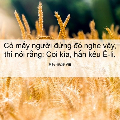 Picture 06 - Mác 15:35 VIE - Có mấy người đứng đó nghe vậy, thì - Bible Verse Picture