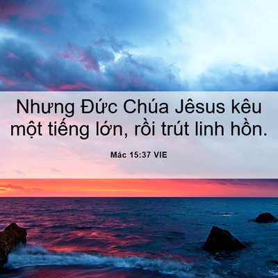 Picture 06 - Mác 15:37 VIE - Nhưng Đức Chúa Jêsus kêu một tiếng - Bible Verse Picture