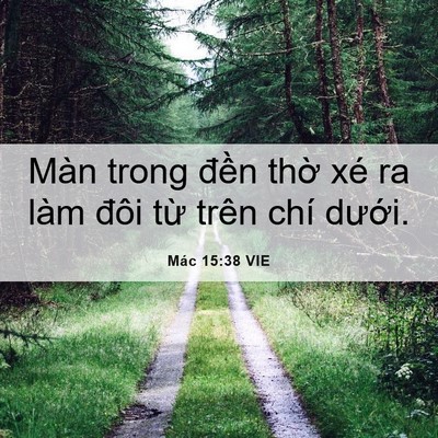 Picture 06 - Mác 15:38 VIE - Màn trong đền thờ xé ra làm đôi từ - Bible Verse Picture