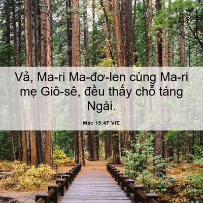 Picture 06 - Mác 15:47 VIE - Vả, Ma-ri Ma-đơ-len cùng Ma-ri mẹ - Bible Verse Picture