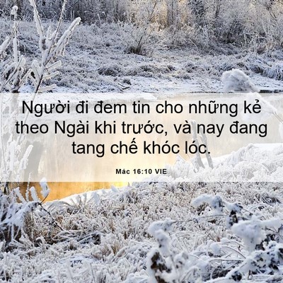 Picture 06 - Mác 16:10 VIE - Người đi đem tin cho những kẻ theo Ngài - Bible Verse Picture