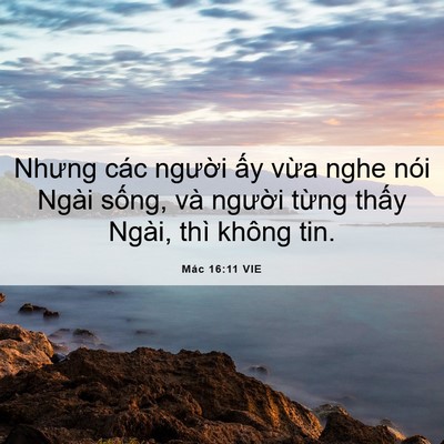 Picture 06 - Mác 16:11 VIE - Nhưng các người ấy vừa nghe nói Ngài - Bible Verse Picture