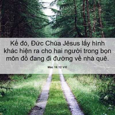 Picture 06 - Mác 16:12 VIE - Kế đó, Đức Chúa Jêsus lấy hình khác - Bible Verse Picture