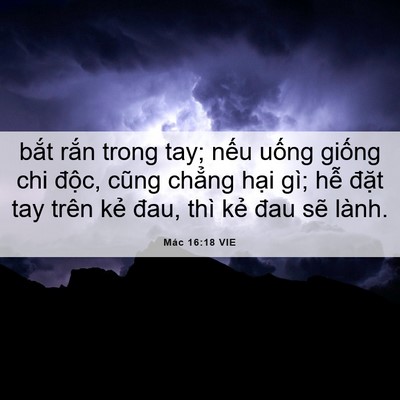 Picture 06 - Mác 16:18 VIE - bắt rắn trong tay; nếu uống giống chi - Bible Verse Picture