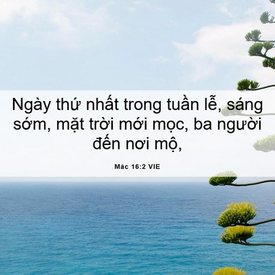 Picture 06 - Mác 16:2 VIE - Ngày thứ nhất trong tuần lễ, sáng - Bible Verse Picture