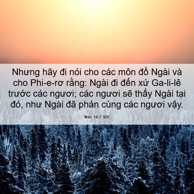 Picture 06 - Mác 16:7 VIE - Nhưng hãy đi nói cho các môn đồ Ngài - Bible Verse Picture