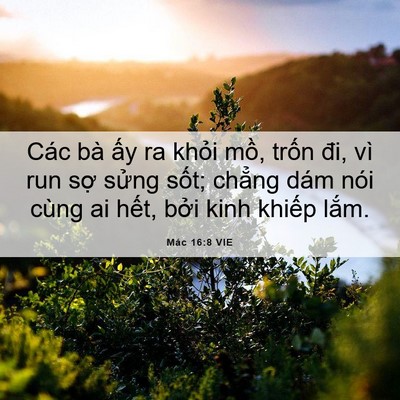 Picture 06 - Mác 16:8 VIE - Các bà ấy ra khỏi mồ, trốn đi, vì run - Bible Verse Picture