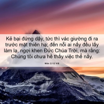 Picture 06 - Mác 2:12 VIE - Kẻ bại đứng dậy, tức thì vác - Bible Verse Picture