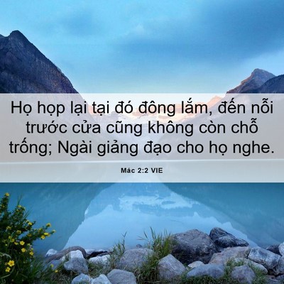 Picture 06 - Mác 2:2 VIE - Họ họp lại tại đó đông lắm, đến - Bible Verse Picture