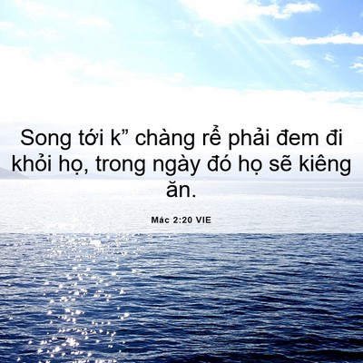 Picture 06 - Mác 2:20 VIE - Song tới k” chàng rể phải đem đi - Bible Verse Picture