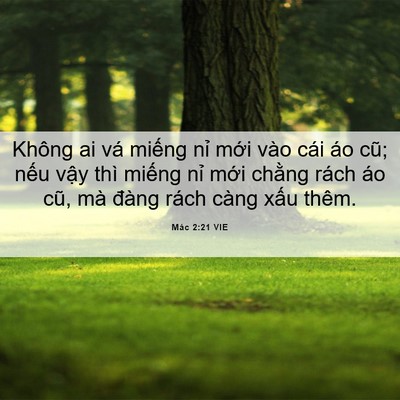 Picture 06 - Mác 2:21 VIE - Không ai vá miếng nỉ mới vào cái áo - Bible Verse Picture