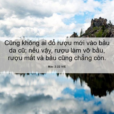 Picture 06 - Mác 2:22 VIE - Cũng không ai đổ rượu mới vào bầu da - Bible Verse Picture