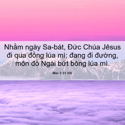 Picture 06 - Mác 2:23 VIE - Nhằm ngày Sa-bát, Đức Chúa Jêsus đi qua - Bible Verse Picture
