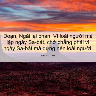 Picture 06 - Mác 2:27 VIE - Đoạn, Ngài lại phán: Vì loài người - Bible Verse Picture