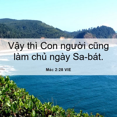Picture 06 - Mác 2:28 VIE - Vậy thì Con người cũng làm chủ ngày - Bible Verse Picture