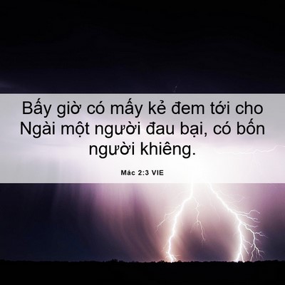 Picture 06 - Mác 2:3 VIE - Bấy giờ có mấy kẻ đem tới cho Ngài - Bible Verse Picture