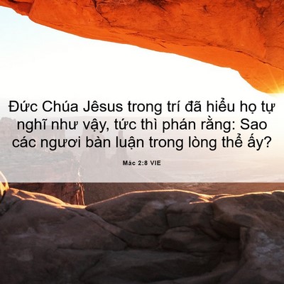 Picture 06 - Mác 2:8 VIE - Đức Chúa Jêsus trong trí đã hiểu họ - Bible Verse Picture