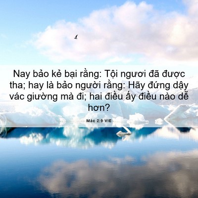 Picture 06 - Mác 2:9 VIE - Nay bảo kẻ bại rằng: Tội ngươi đã - Bible Verse Picture