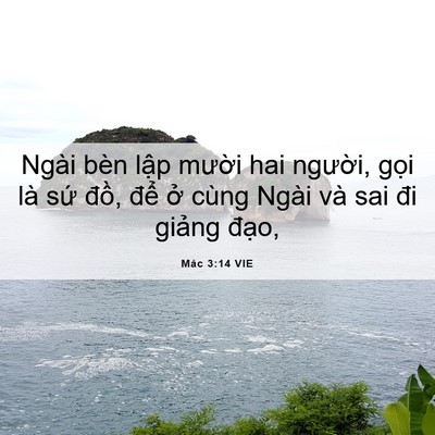 Picture 06 - Mác 3:14 VIE - Ngài bèn lập mười hai người, gọi là - Bible Verse Picture
