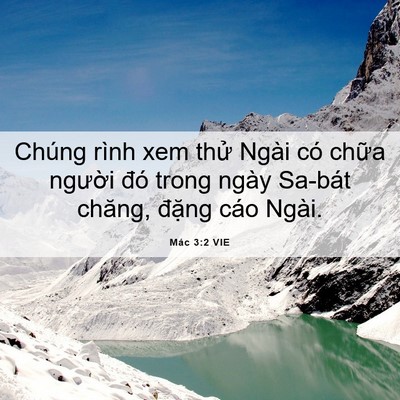 Picture 06 - Mác 3:2 VIE - Chúng rình xem thử Ngài có chữa người - Bible Verse Picture