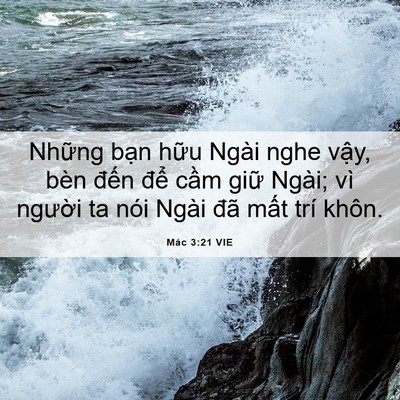 Picture 06 - Mác 3:21 VIE - Những bạn hữu Ngài nghe vậy, bèn đến - Bible Verse Picture