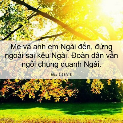 Picture 06 - Mác 3:31 VIE - Mẹ và anh em Ngài đến, đứng ngoài sai - Bible Verse Picture