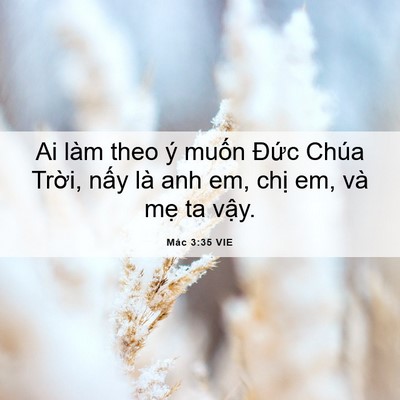 Picture 06 - Mác 3:35 VIE - Ai làm theo ý muốn Đức Chúa Trời, nấy - Bible Verse Picture