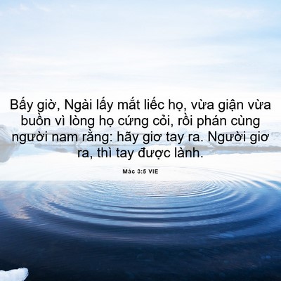 Picture 06 - Mác 3:5 VIE - Bấy giờ, Ngài lấy mắt liếc họ, vừa - Bible Verse Picture