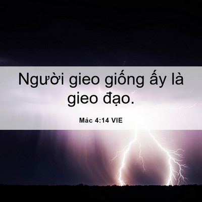 Picture 06 - Mác 4:14 VIE - Người gieo giống ấy là gieo - Bible Verse Picture
