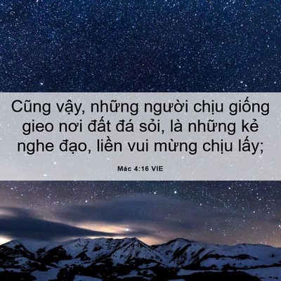 Picture 06 - Mác 4:16 VIE - Cũng vậy, những người chịu giống gieo - Bible Verse Picture