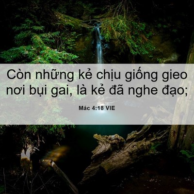 Picture 06 - Mác 4:18 VIE - Còn những kẻ chịu giống gieo nơi bụi - Bible Verse Picture