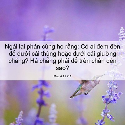 Picture 06 - Mác 4:21 VIE - Ngài lại phán cùng họ rằng: Có ai đem - Bible Verse Picture