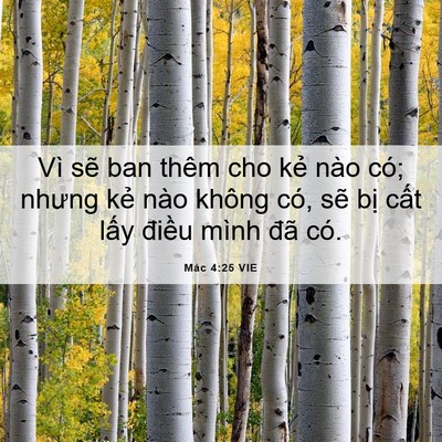 Picture 06 - Mác 4:25 VIE - Vì sẽ ban thêm cho kẻ nào có; nhưng kẻ - Bible Verse Picture